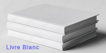 WomenByPMI - le livre blanc