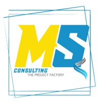 MS Consulting